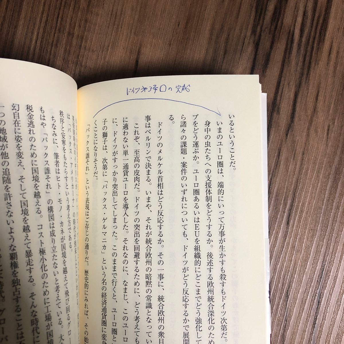 新・通貨戦争　次に来る危機の「正体」 （朝日新書　４２８） 浜矩子／著