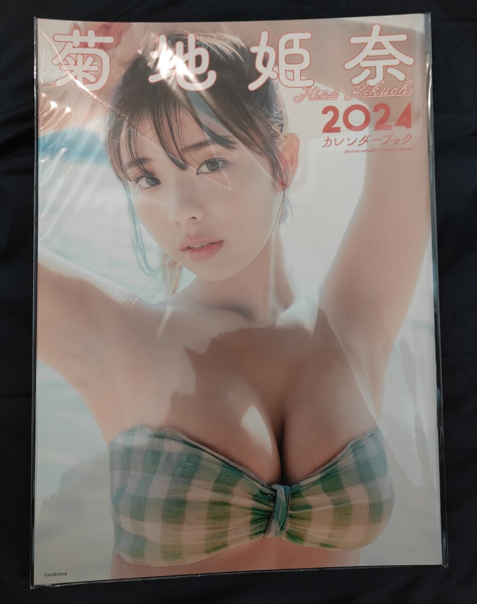 菊地姫奈カレンダーブック2024の画像1