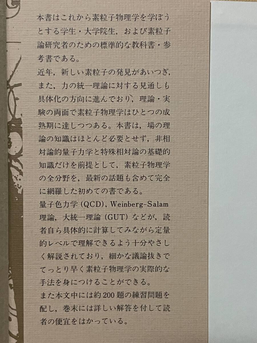 クォークとレプトン 現代素粒子物理学入門 F.ハルツェン A.D.マーチン 小林澈郎 広瀬立成 培風館 1991年 演習問題 解答有 素粒子標準理論_画像5