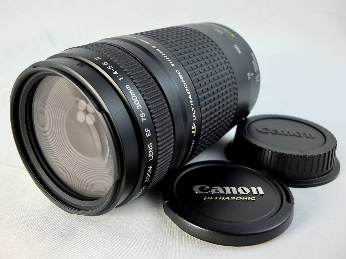 ★外観良品★キヤノン CANON EF 75-300mm F4-5.6 II！純正FRキャップ付属！ULTRASONIC！Φ58mm！#08740#0004#08990#05720_画像1