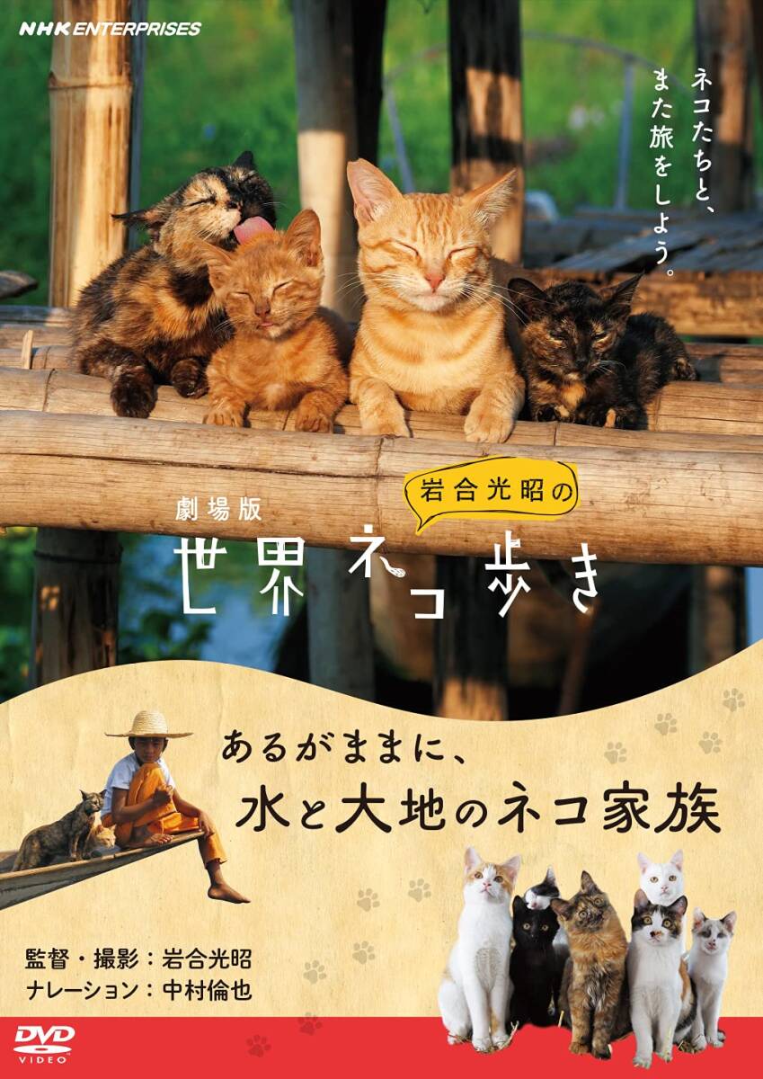 劇場版 岩合光昭の世界ネコ歩き あるがままに、水と大地のネコ家族 [DVD](中古品)_画像2