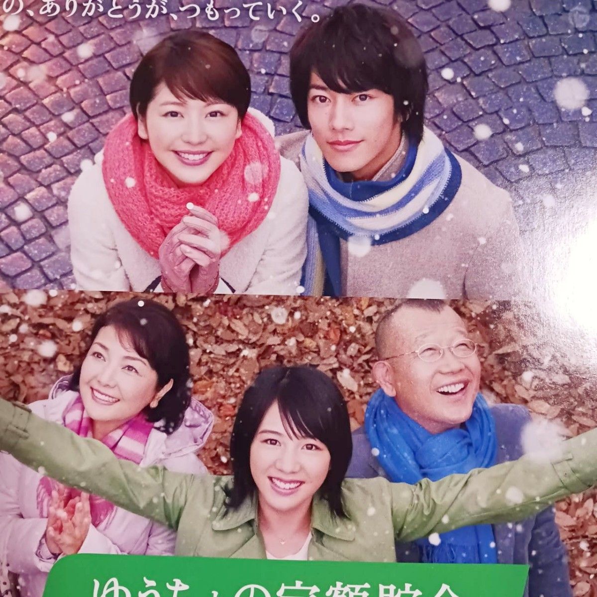 佐藤健 長澤まさみ 平成２２年(2010年) ゆうちょ定額貯金 チラシ 