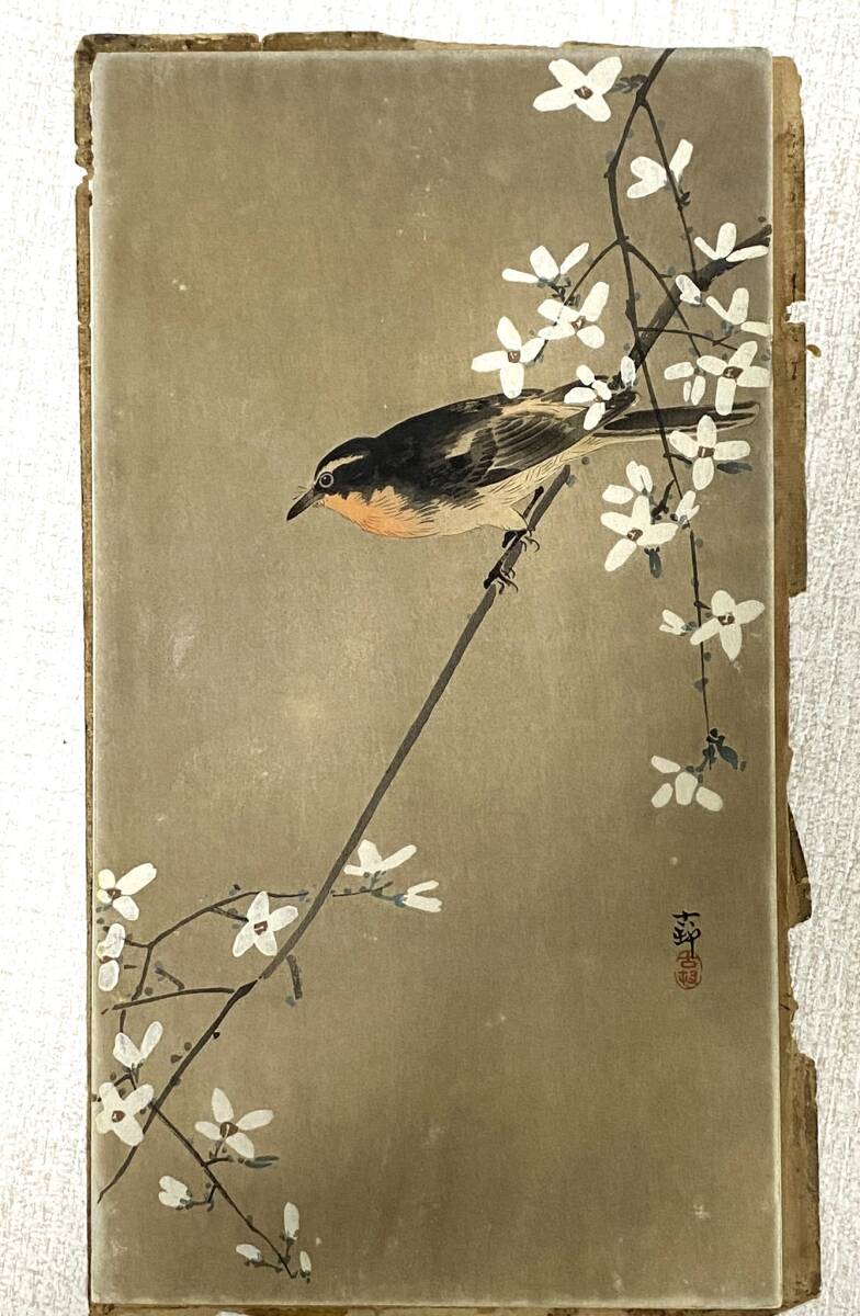 木版画 小原古邨(祥邨) 『金魚』 新版画 大判 日本画 浮世絵 木版画 小原古邨(祥邨) 『金魚』 新版画 大判 日本画 浮世絵