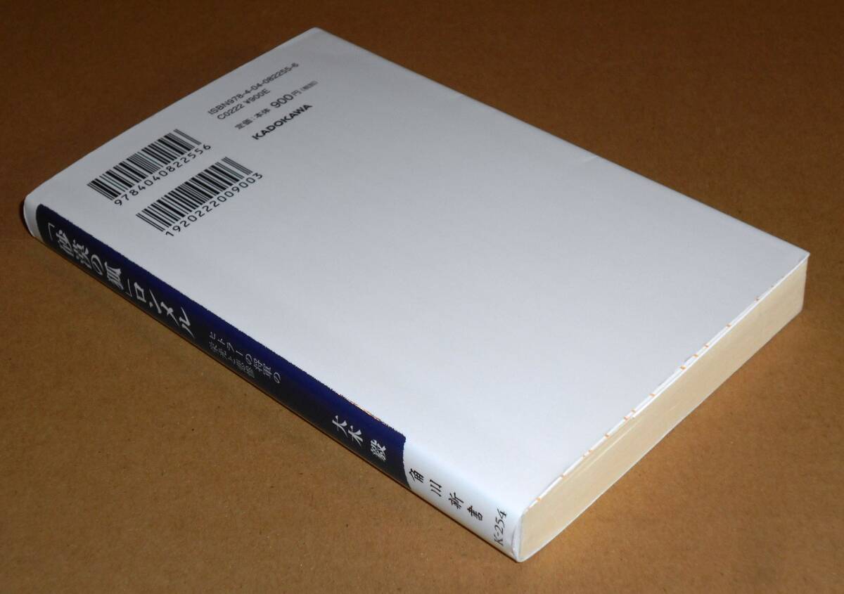 角川新書/大木毅著「「砂漠の狐」ロンメル/ヒトラーの将軍の栄光と悲惨」書き下ろし作品_画像3