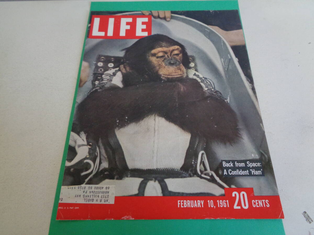 即決 ＬＩＦＥ ライフ 表紙 １９６０ｓ 宇宙飛行 チンパンジー ハム カーネーション ミルク ＭＩＬＫ パウンドケーキ アメリカの画像1