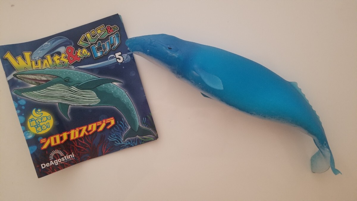 【シロナガスクジラ】WHALES&co.くじら&co.ビッグ　暗やみで光る！くじらフィギュア海の生き物_画像1