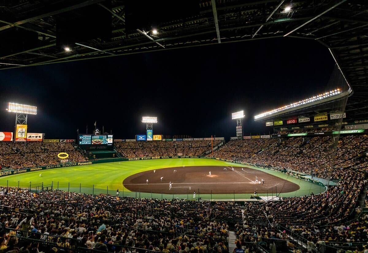 ☆5/6(月）祝日 阪神タイガースvs広島 阪神甲子園球場 年間予約席レフト外野席 2枚ペアセット 中止補償有の画像3