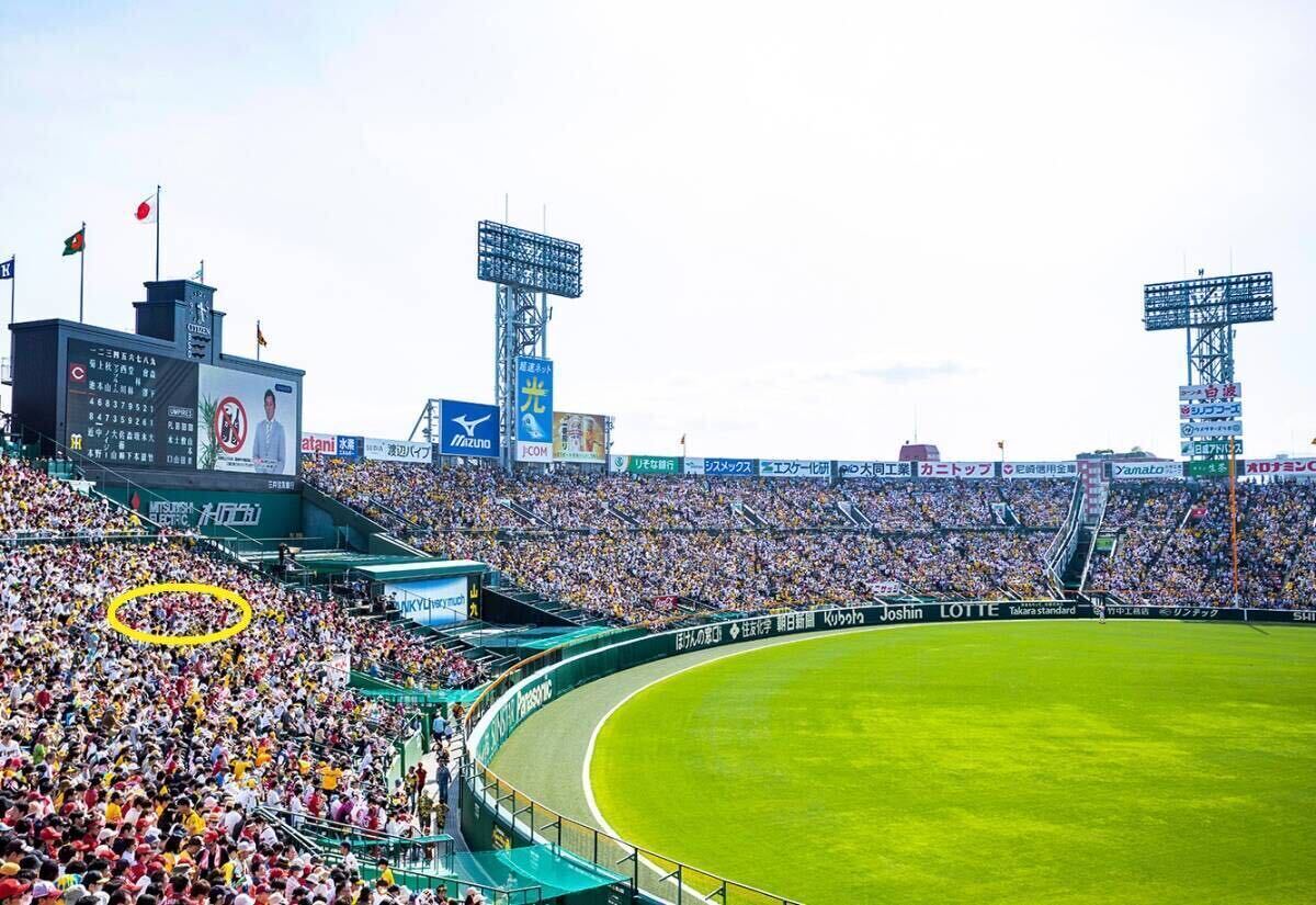 ☆6/8(土） 阪神タイガースvs西武　阪神甲子園球場 　年間予約席レフト外野席　2枚ペアセット　中止補償有☆