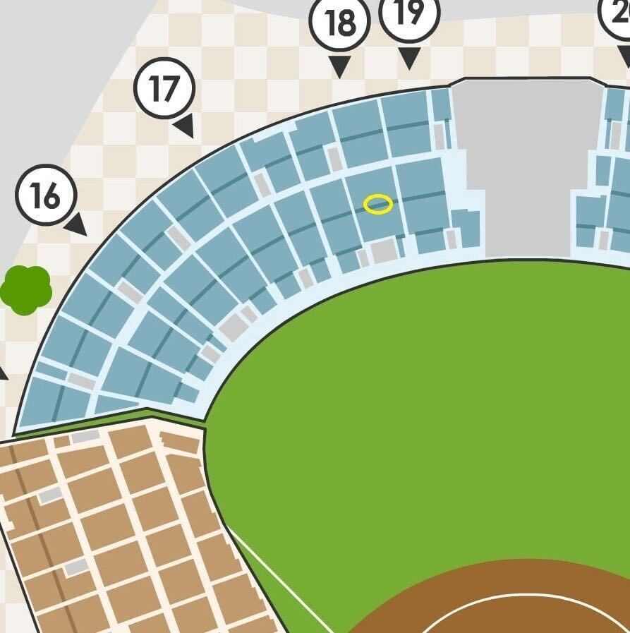 *6/9( день ) Hanshin Tigers vs Seibu Hanshin Koshien Stadium лет предварительный заказ сиденье левый вне . сиденье 2 листов пара прекращение возмещение иметь *