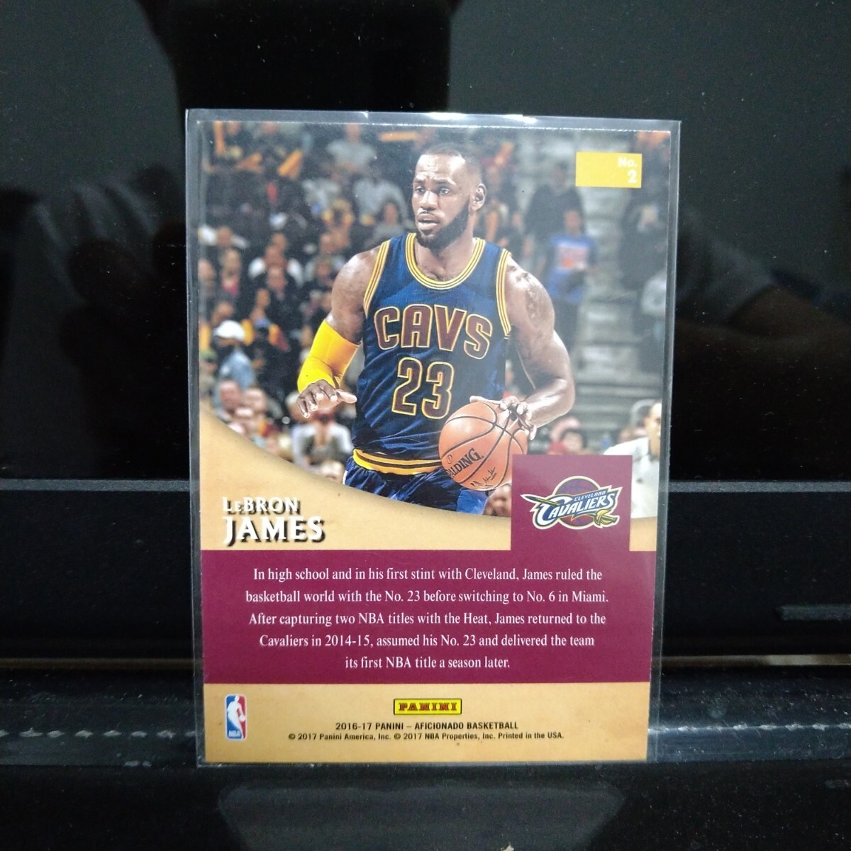 Panini NBA aficionado カード　レブロンジェームズ　キャバリアーズ　レイカーズ　lebron james_画像3