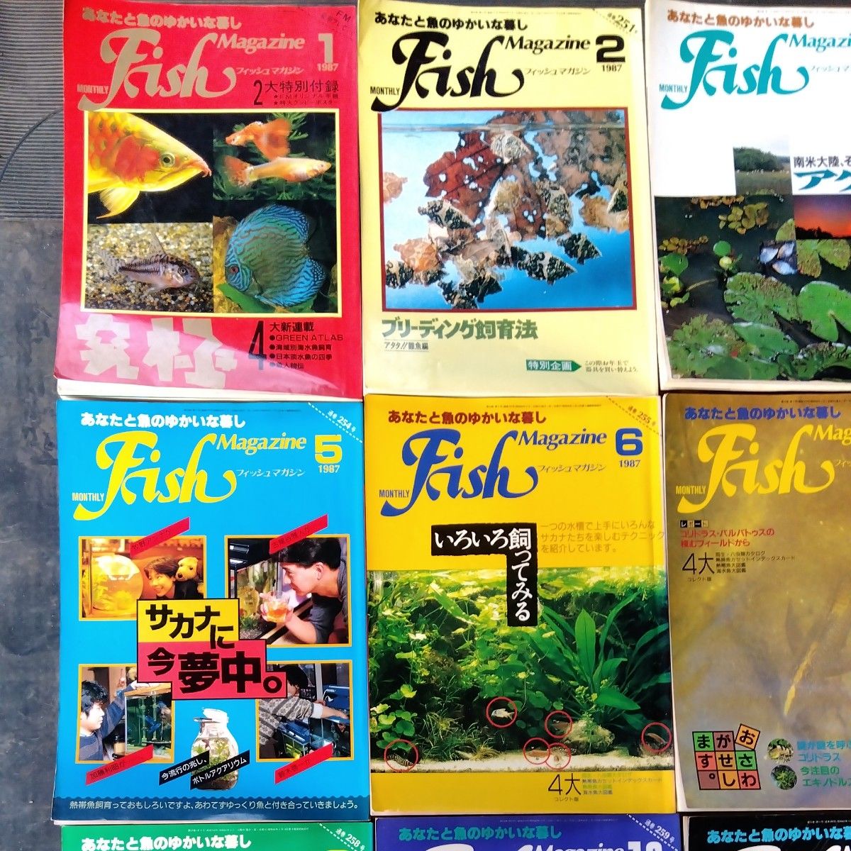 ディスカス、アロワナ　フィッシュマガジン　1987年1月から12月迄の1年分のまとめ売りです！　　 昭和 当時物