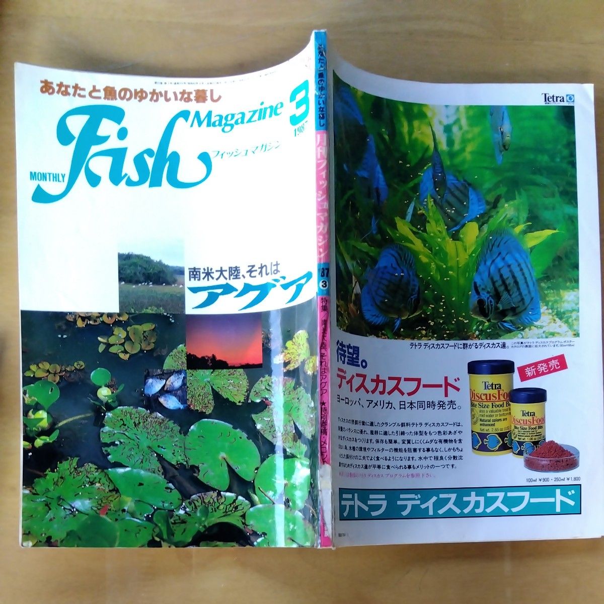 ディスカス、アロワナ　フィッシュマガジン　1987年1月から12月迄の1年分のまとめ売りです！　　 昭和 当時物