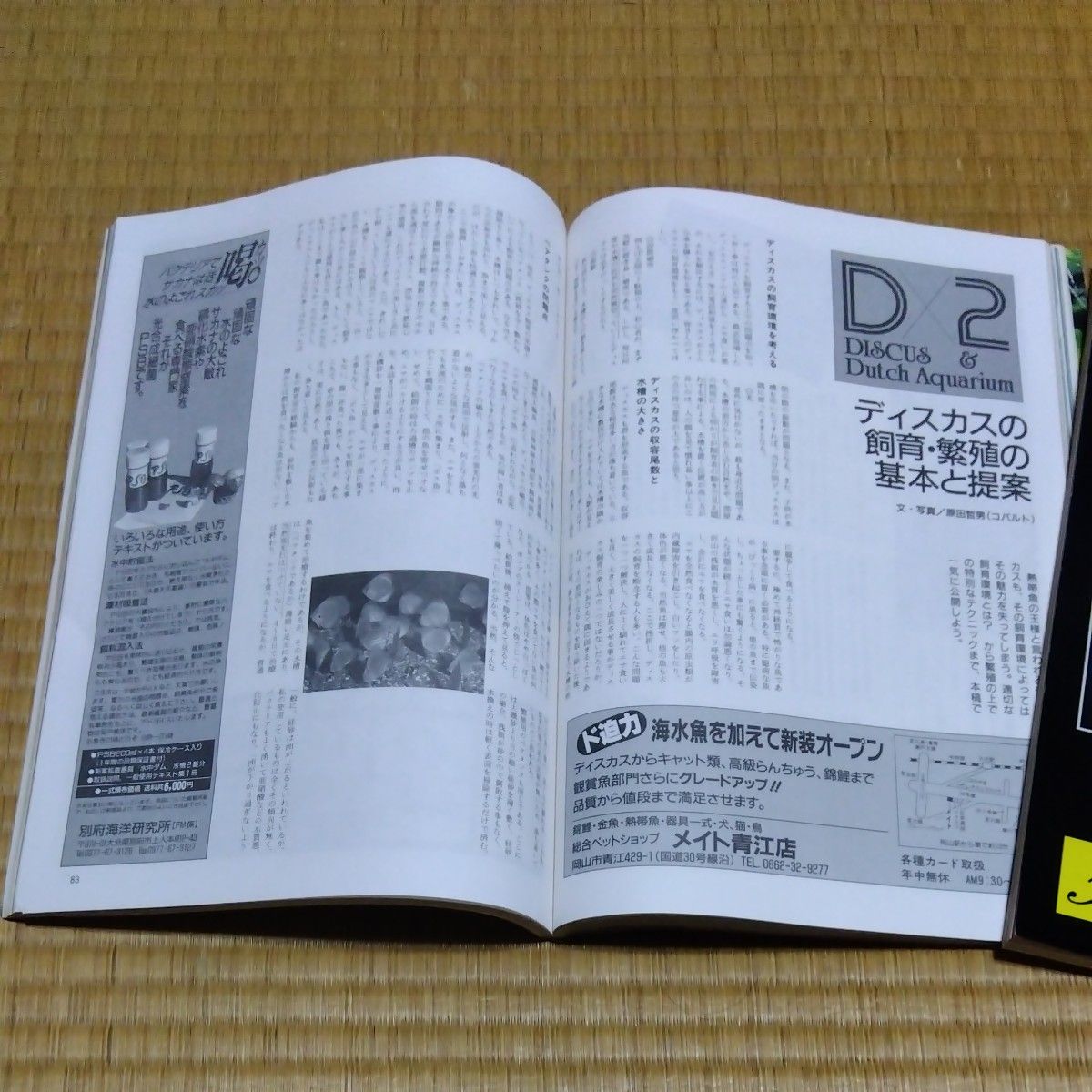 ディスカス　愛魚情報誌フィッシュマガジン1990年4月号.5月号. No.289.290　 2冊セット