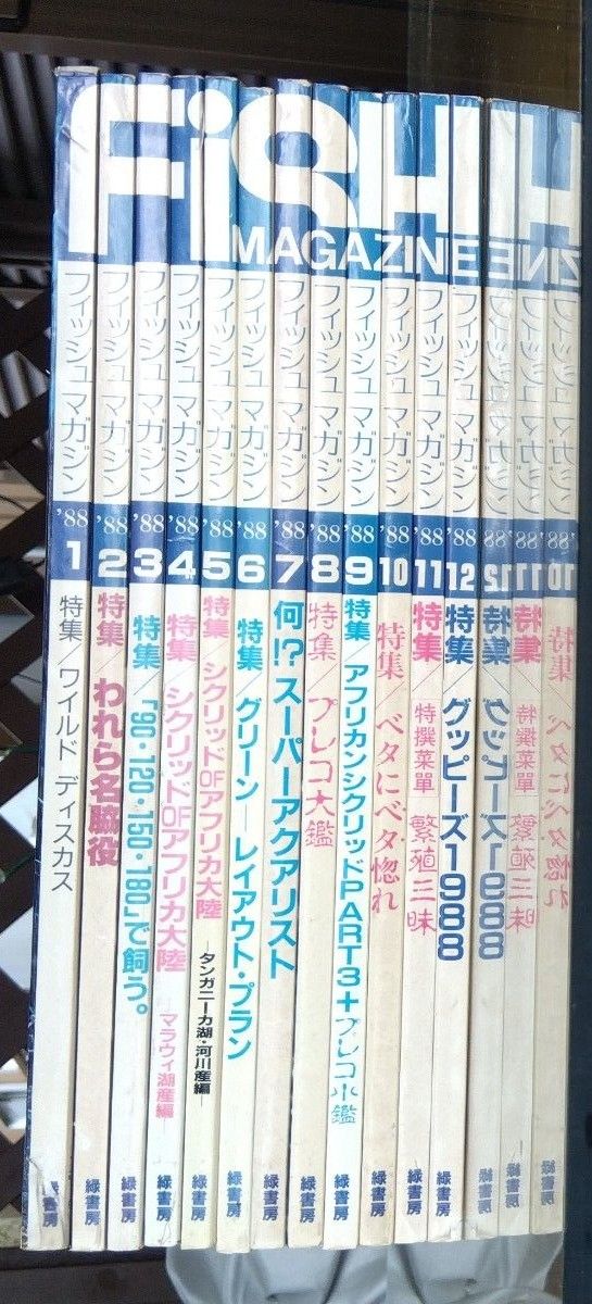 ディスカス、アロワナ　フィッシュマガジン1988年1月から12月迄の1年分のまとめ売りです！　No.262→No.273　 昭和 