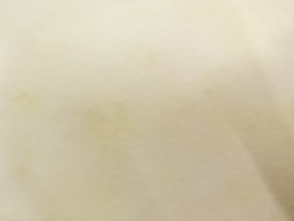 089245# 【1円～】アンティーク　絽　銀駒刺繍扇に華文開き名古屋帯（額縁仕立て）_画像9