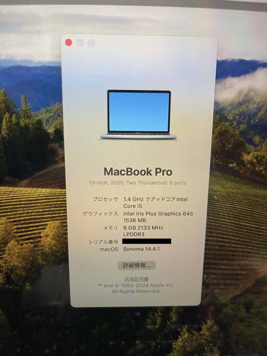 13インチ macbook pro 2020 256GB メモリー8 _画像3