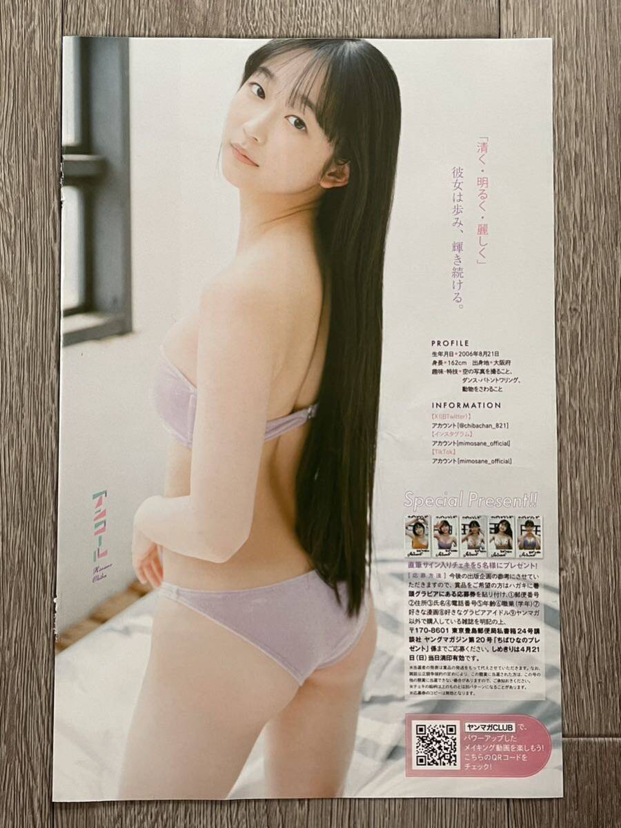 ヤングマガジン 沢口愛華 クオカード応募用紙2枚.チェキ応募券2枚の画像6