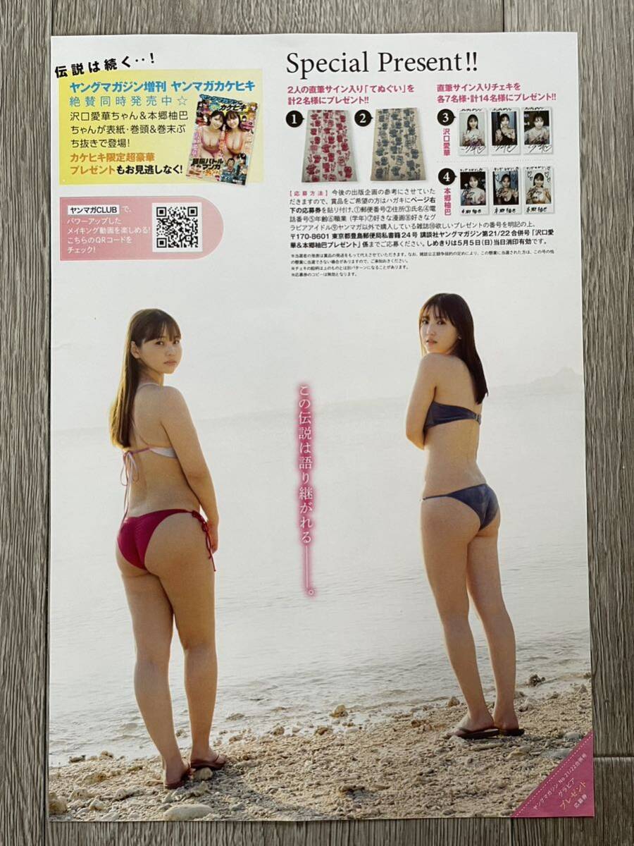 ヤングマガジン☆抽プレ懸賞応募券3枚☆沢口愛華 本郷柚巴 直筆