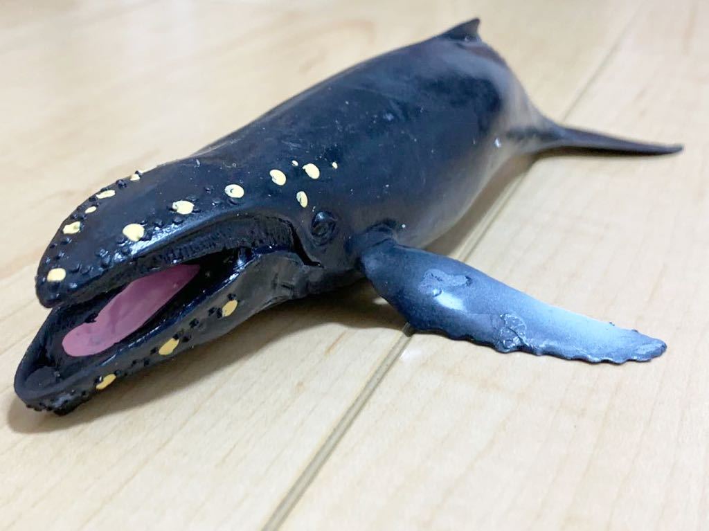 新品 くじら&Co. WHALES&Co. ビッグ ザトウクジラ くじら フィギュア デアゴスティーニ ホエール 海の生き物 ブックレット付き_画像1