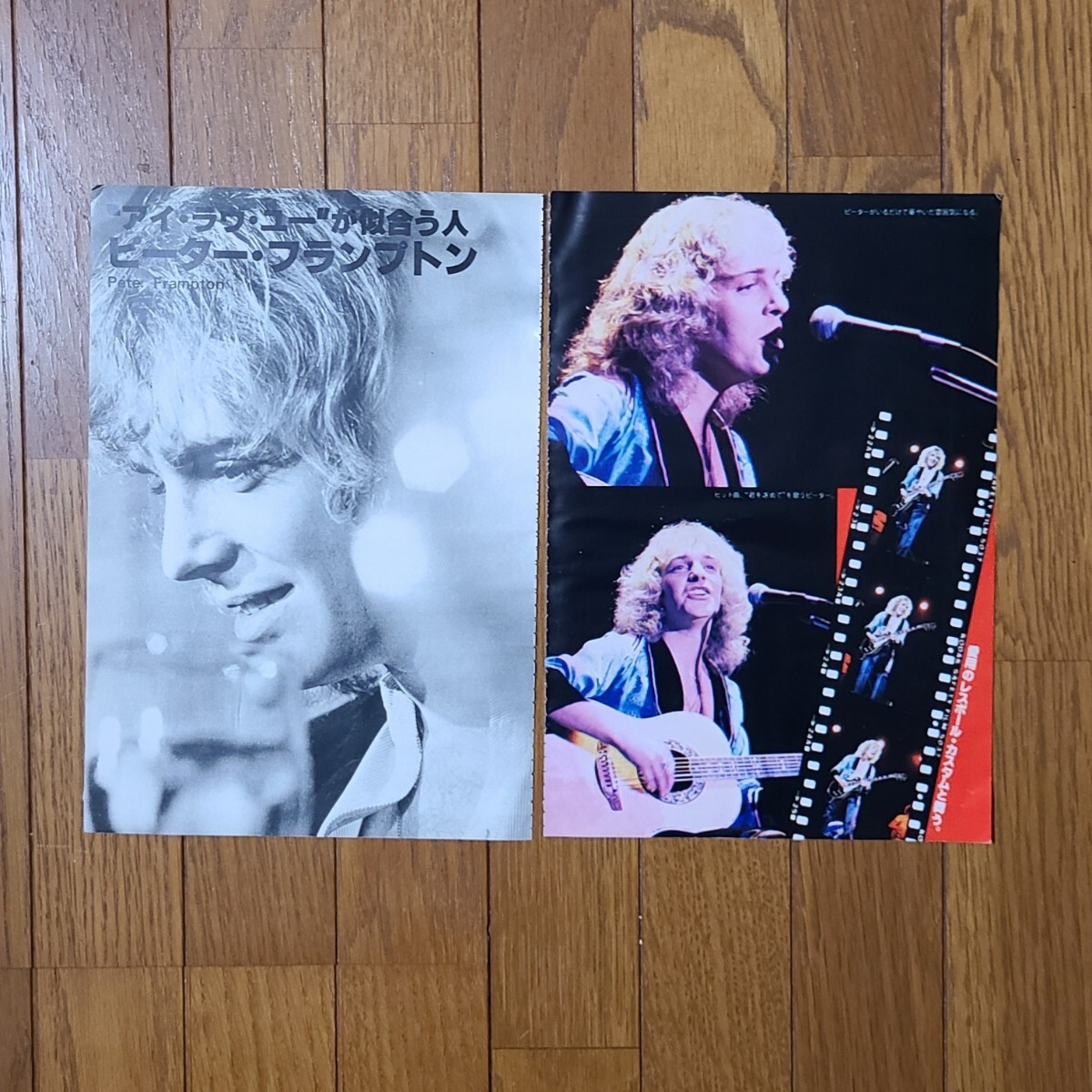 ピーター・フランプトン Peter Frampton 初来日直前&初来日 グラビア インタビュー 1978年【切り抜き】_画像4