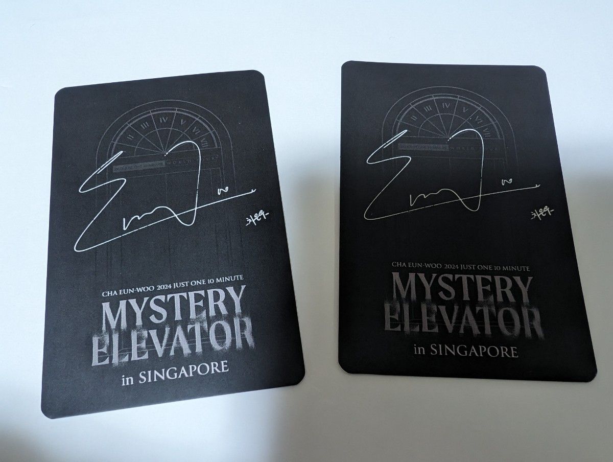チャウヌMystery Elevator シンガポール トレカ チャウヌMystery Elevator シンガポール トレカ