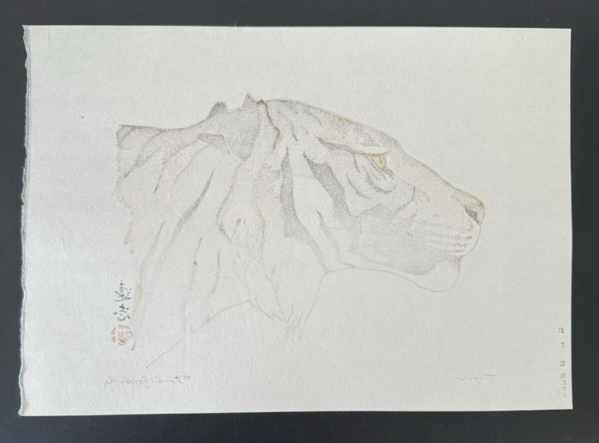 C【真作保証】吉田遠志　Tiger　手摺り木版画　創作版画　吉田博御子息　長野　Yoshida Toshi woodblock print Tiger　_画像10