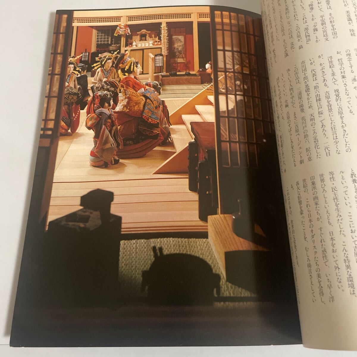 辻村ジュサブローの世界 吉原 失なわれた文化を求めて 図録 作品集 昭和56年発行 吉原遊郭 花魁 遊女 人形 写真集の画像5