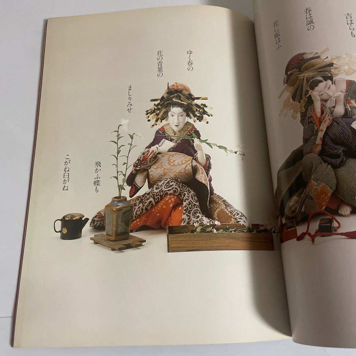 辻村ジュサブローの世界 吉原 失なわれた文化を求めて 図録 作品集 昭和56年発行 吉原遊郭 花魁 遊女 人形 写真集の画像6