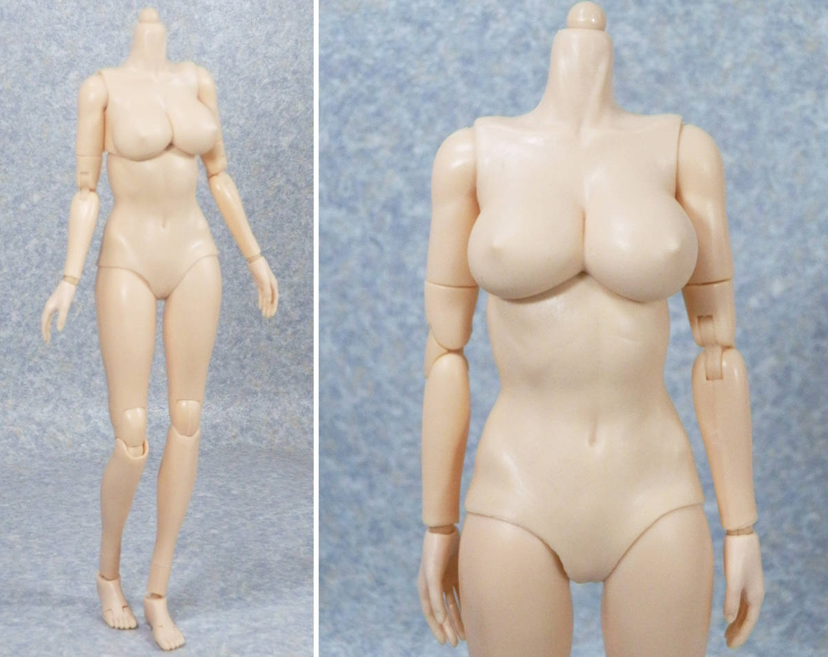 1/6 未使用女性素体 巨乳タイプ軟質外皮 白肌 03の画像2