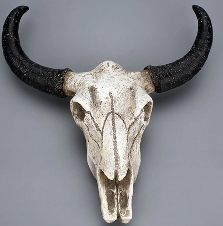 ハンティングトロフィー 牛骨 頭蓋骨 壁掛けアクセサリー オブジェ 店舗装飾などに ZCL001の画像1