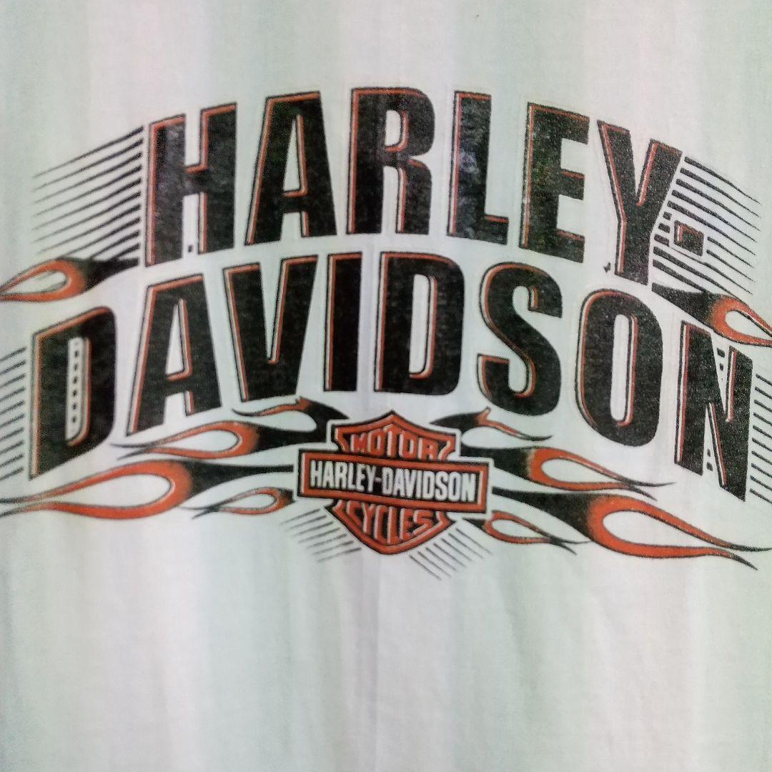 即決　新品　送料無料　HARLEY　ハーレーダビットソン　半袖Tシャツ　黒　L　バイク　ツーリング　アウトドア　旅行　モーターサイクル　　_画像2