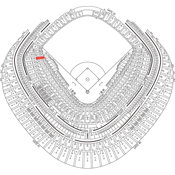 5/4( earth festival ) 18:00 Tokyo Dome . person vs Hanshin 3. side designation seat B through . side 2 sheets ream number 5 month 4 day 