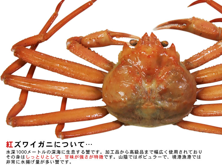 【1円～】紅ずわい蟹むき身(生)400g【お刺身用】北海道青森産・国内加工【冷凍】ベニズワイガニズワイ蟹お刺身かにカニ蟹本ガニの画像2