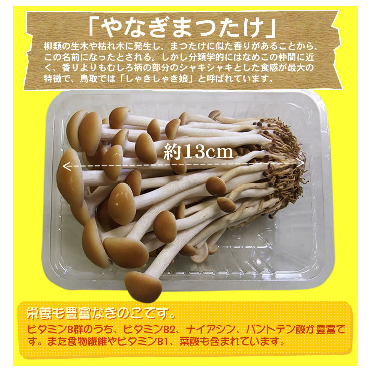 [ prompt decision ].......[ Tottori prefecture production ][120g×6 pack ][ refrigeration ]take mushrooms . pine .yanagi matsutake .. . chestnut 