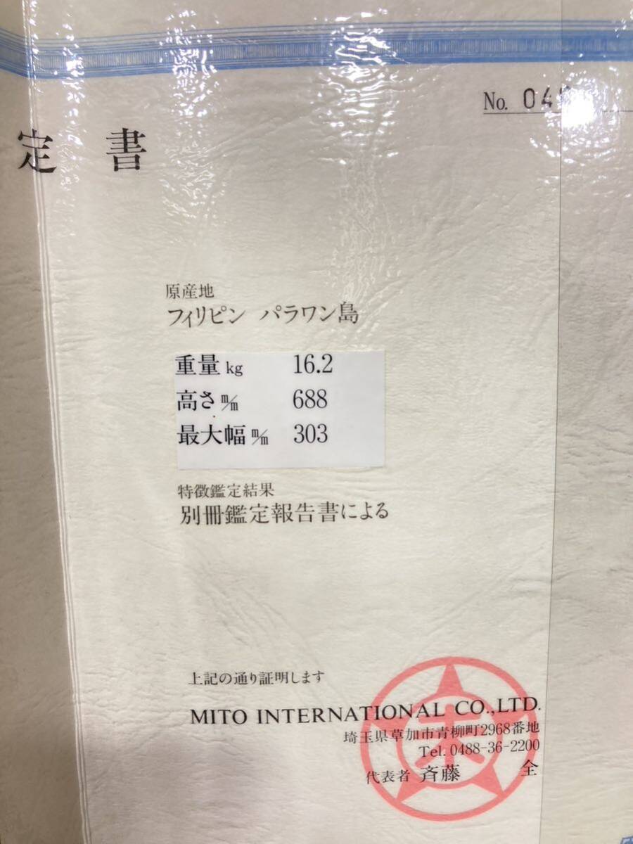 TA★1円〜保管品 鍾乳石 原産地 フィリピン パラワン島 鑑定書 鑑定報告書付き 天然石 天然記念物 自然石 鑑賞石 インテリア オブジェの画像8