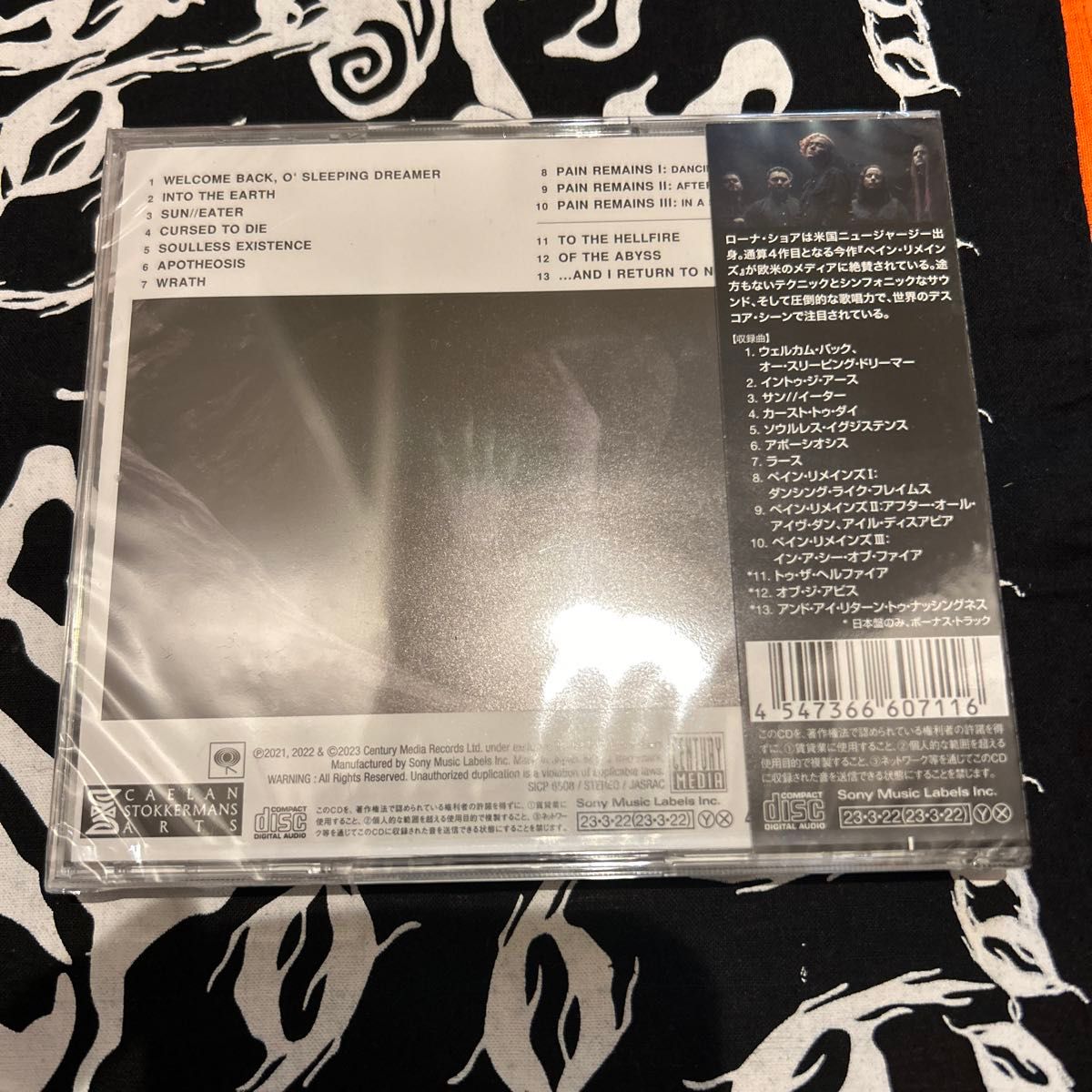 【国内盤CD】 ローナショア/ペインリメインズ (2023/3/22発売)