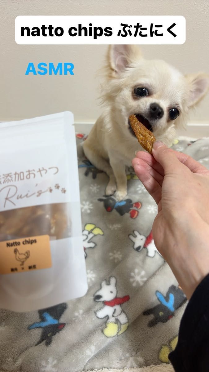犬の無添加おやつ　natto chips鶏肉味 お得な３セット