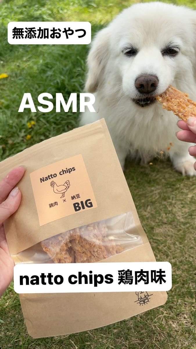 SALE 犬の無添加おやつ　natto chips BIG 鶏肉味 50g 2袋　合計100g