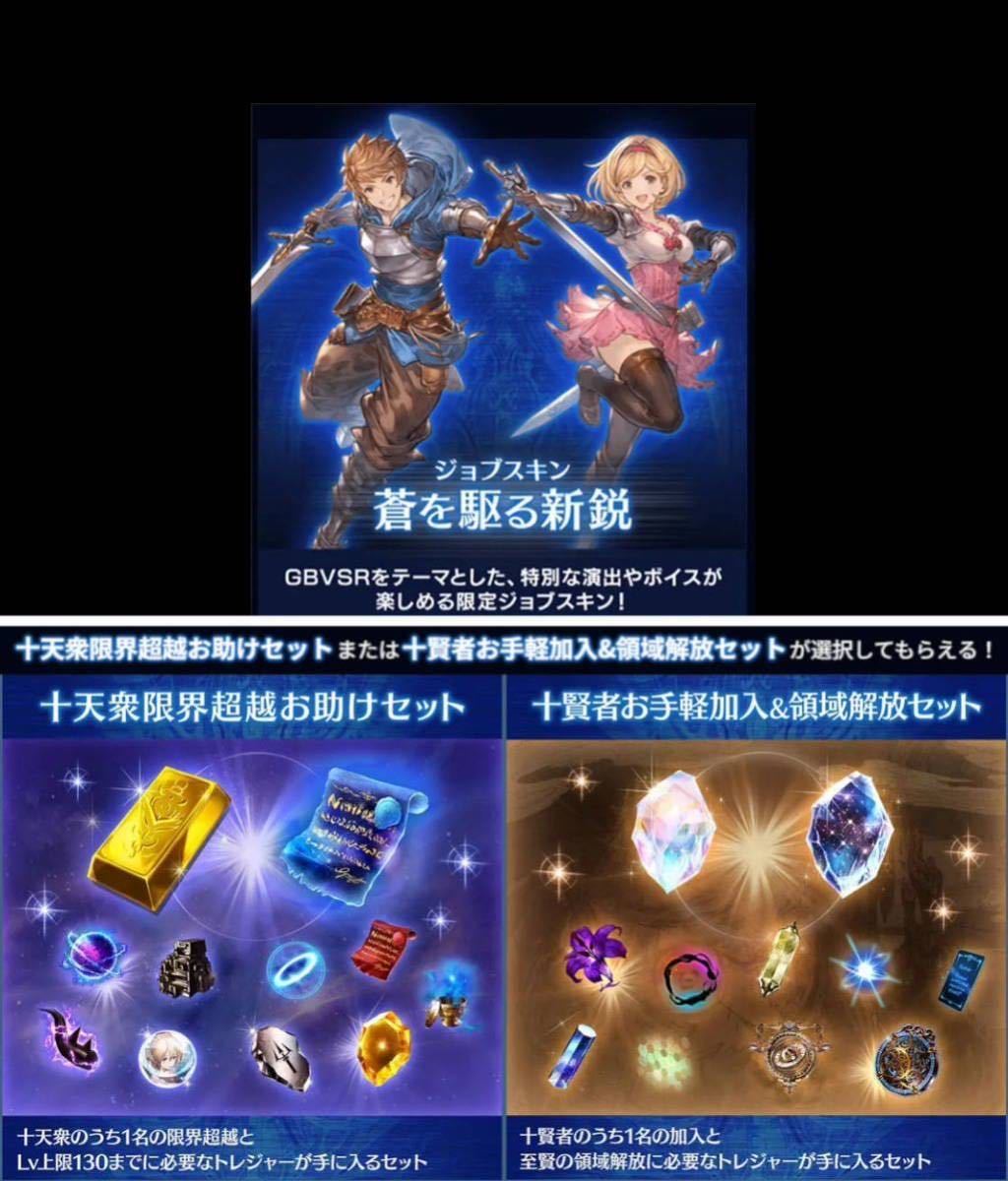 即日対応 グラブルスペシャルアイテムGBVSRパック ジョブスキン「蒼を駆る新鋭」 グランブルーファンタジー VS ライジング シリアルコードの画像1