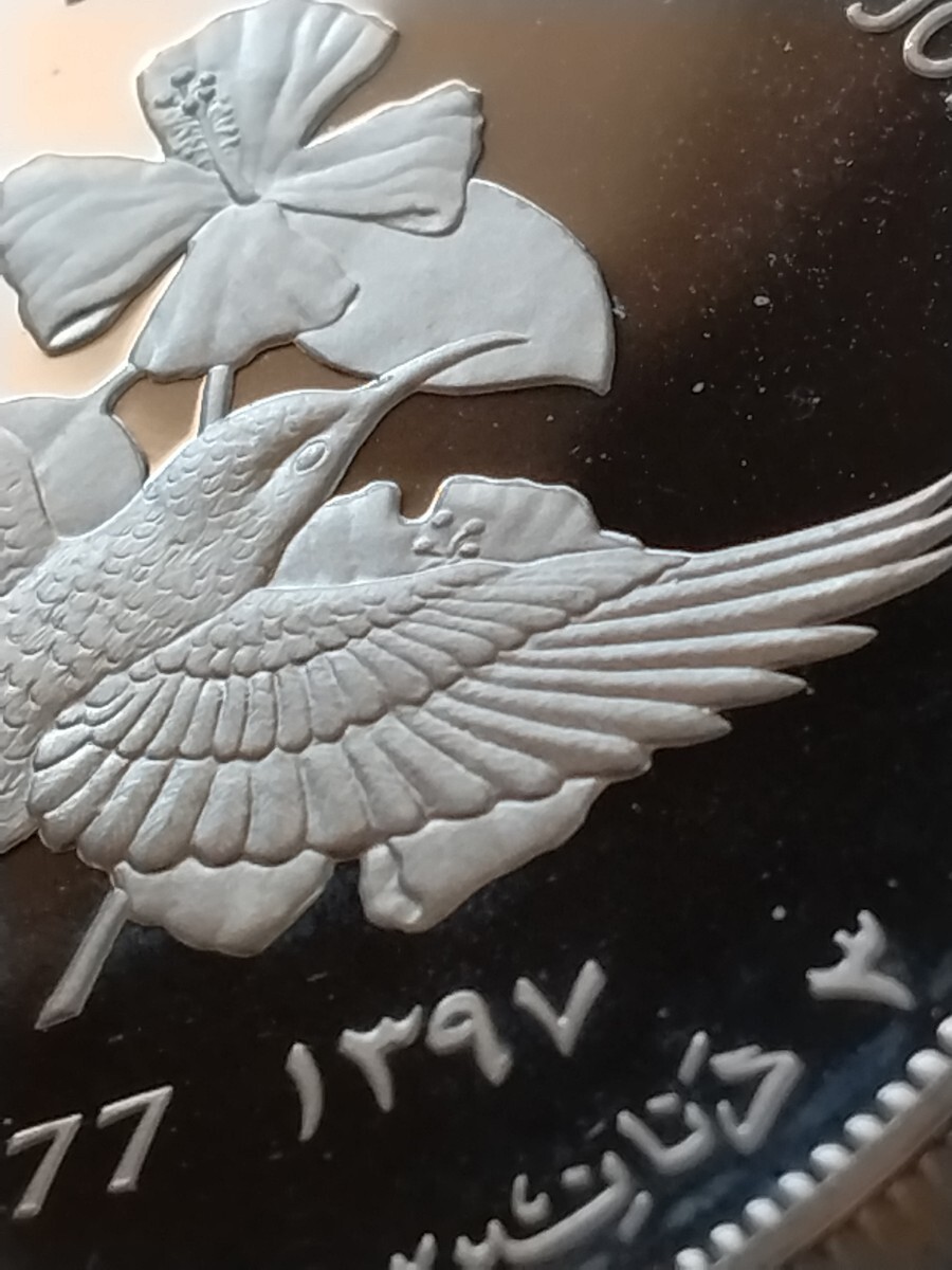 ヨルダン 1977 3ディナール銀貨プルーフ Conservation−Palestine Sunbirdの画像7