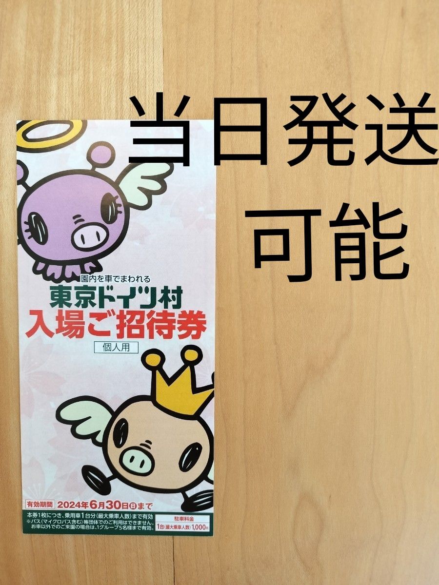 【4/12(金)発送】東京ドイツ村 ドイツ村 招待券