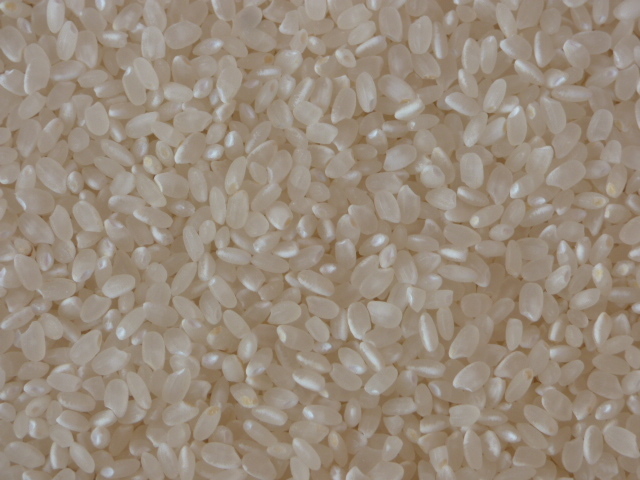 新米 令和5年 宮城県産 コシヒカリ白米25kg(袋含む) 米袋の状態で発送の画像2