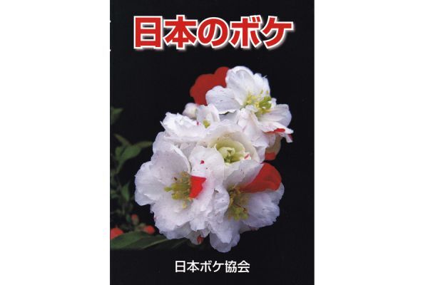 ボケの本 「 日本のボケ 」日本ボケ協会発行  ①-4の画像2