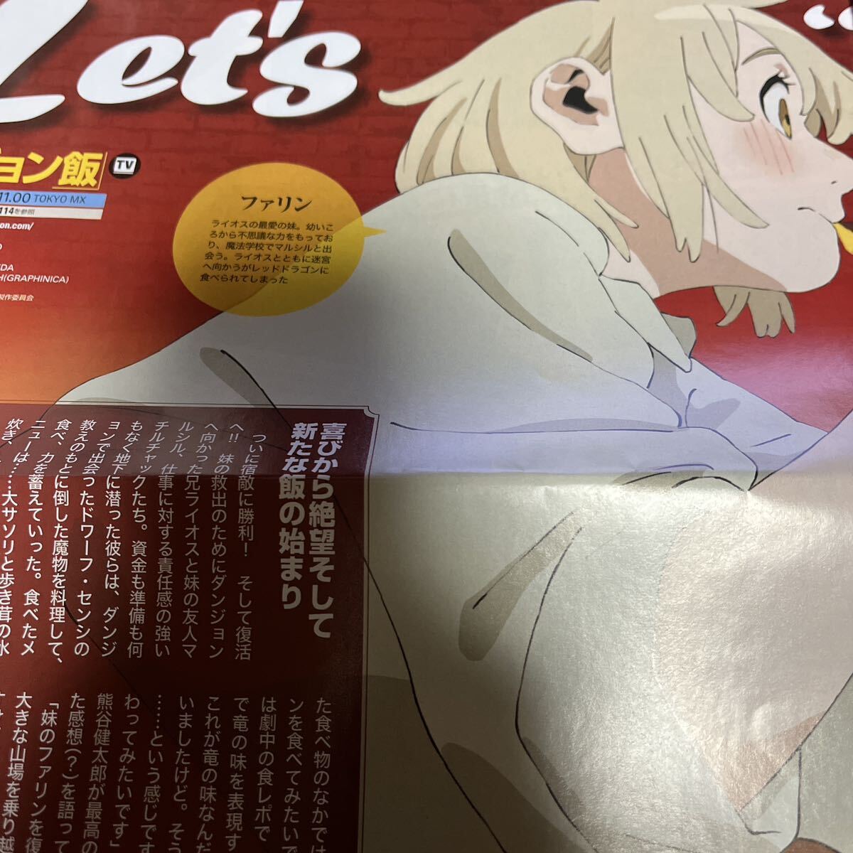 ダンジョン飯 ガイド　雑誌切り離し_画像1