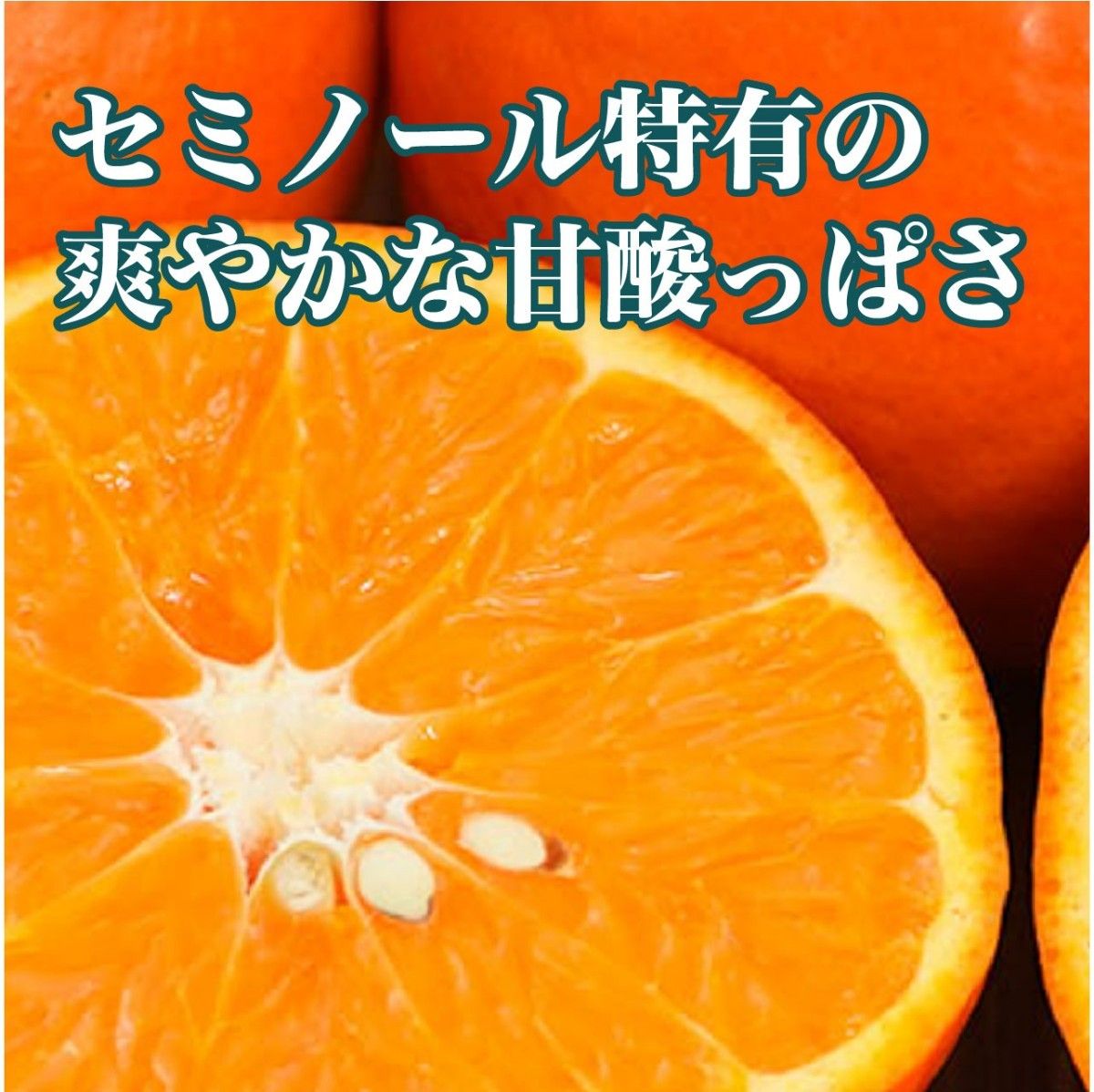 【もぎたてお届け】和歌山県有田産　セミノール　有田みかん　爽やかな甘酸っぱさ　果汁たっぷり　低農薬栽培　5㎏　送料無料 温州みかん