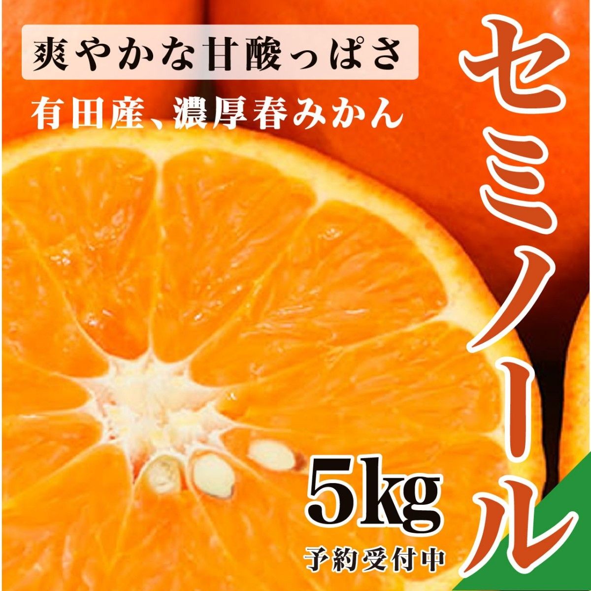 【もぎたてお届け】和歌山県有田産　セミノール　有田みかん　爽やかな甘酸っぱさ　果汁たっぷり　低農薬栽培　5㎏　送料無料 温州みかん