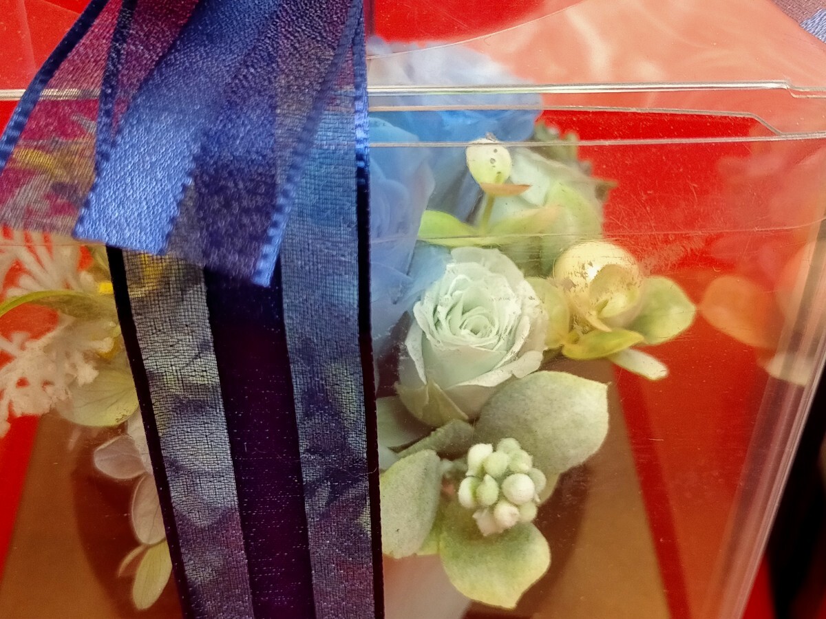  preserved flower b louver la clear case entering gift birthday ...2 piece set unused goods /