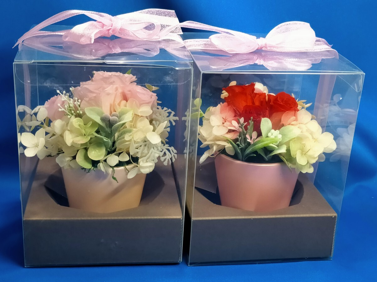  preserved flower pink. rose red rose clear case entering gift * birthday *...2 piece set unused goods /