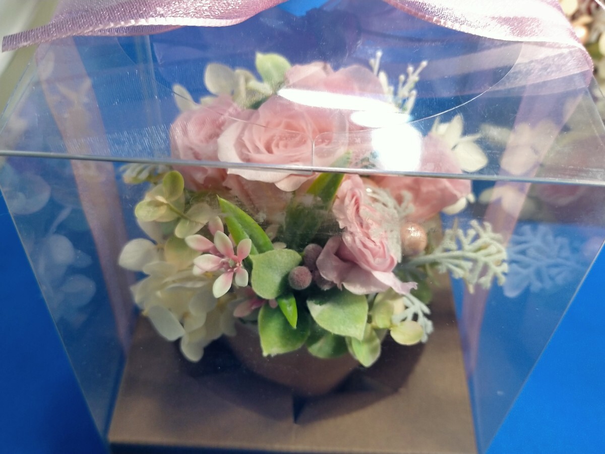  preserved flower pink. rose red rose clear case entering gift * birthday *...2 piece set unused goods /