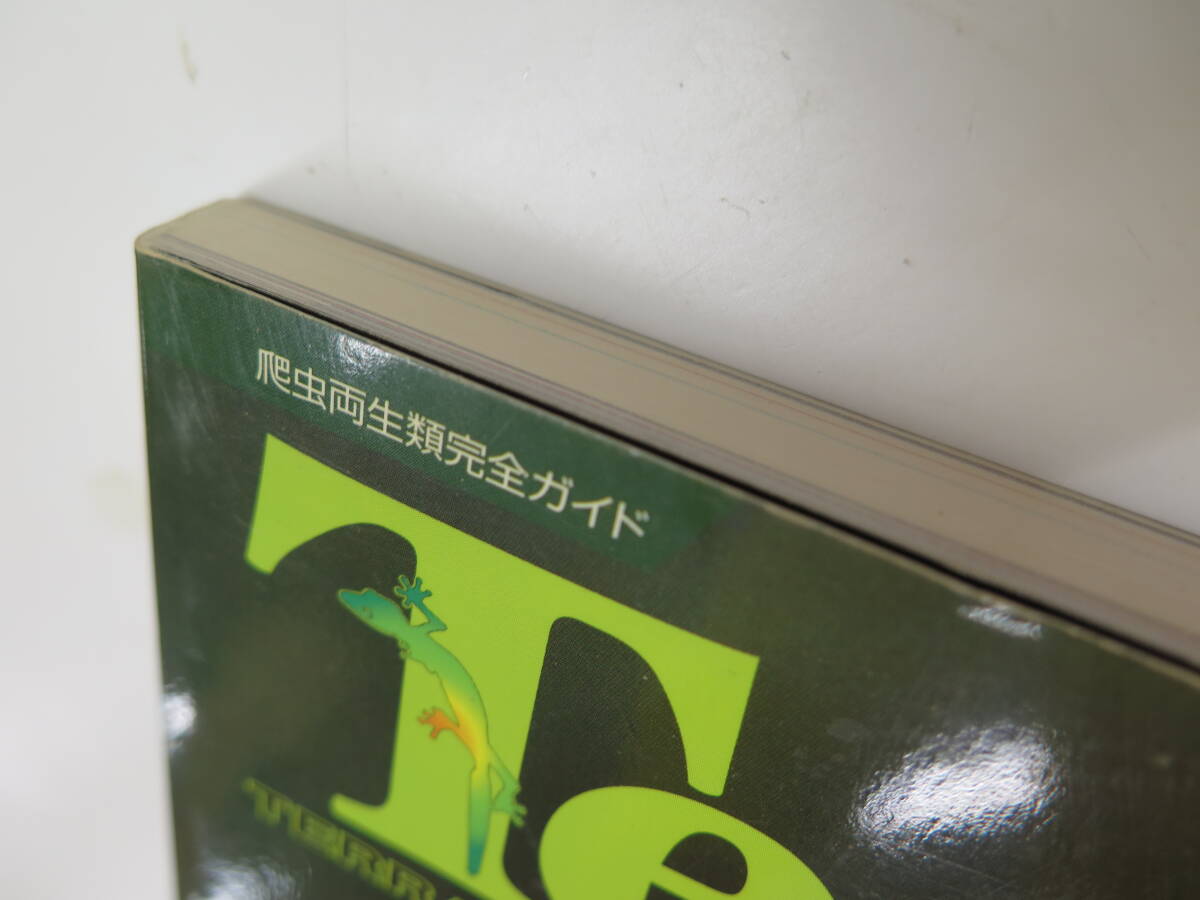 【絶版】Terra Pro テラリウム プロブック カメレオンのすべて Vol.１ 図鑑&飼育本 2009年発行 爬虫両生類完全ガイドの画像5